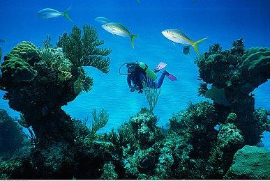 《魔咒之地》发布更新档 修复崩溃问题提升性能表现